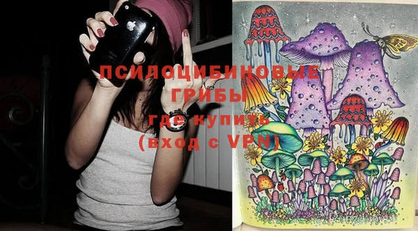 mdma Гусев