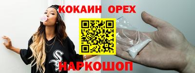 молекула духа Кингисепп