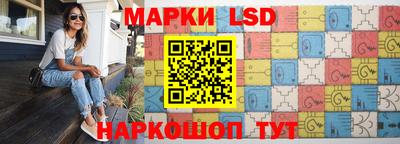 молекула духа Кингисепп