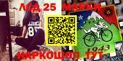 Альфа ПВП Кимры