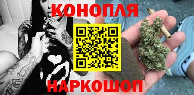 молекула духа Кингисепп
