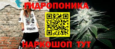 молекула духа Кингисепп