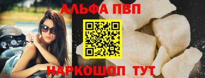 молекула духа Кингисепп