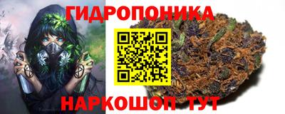 молекула духа Кингисепп