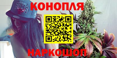 молекула духа Кингисепп