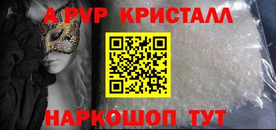 молекула духа Кингисепп